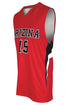 Dynamic Team Sports Custom Sublimated Basketball Jersey Design (200-5)