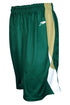 Dynamic Team Sports Custom Sublimated Basketball Short Design (250-4)