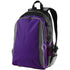 High Five All-Sport Backpack (327890), Color 'Purple/Graphite/Black'