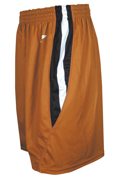 Dynamic Team Sports Custom Sublimated Basketball Short Design (350-6)