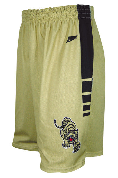 Dynamic Team Sports Custom Sublimated Basketball Short Design (450-5)