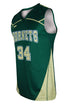 Dynamic Team Sports Custom Sublimated Girls Lacrosse Jersey Design 501-5 (L501-5)