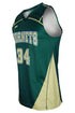 Dynamic Team Sports Custom Sublimated Girls Lacrosse Jersey Design 502-5 (L502-5)