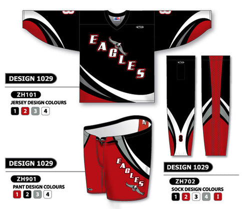 Athletic Knit Custom Sublimated Hockey Uniform Design 1029 (ZH101S-1029)