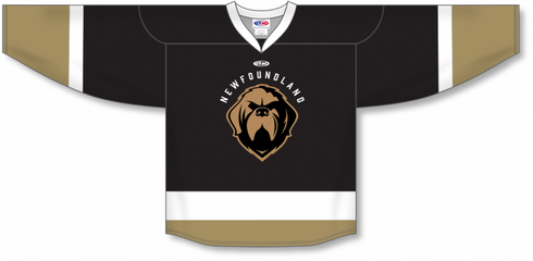 Athletic Knit Zh112 Sublimated Echl Hockey Jersey