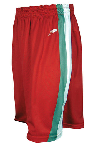Dynamic Team Sports Custom Sublimated Basketball Short Design (450-2)