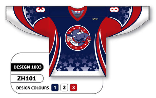 Athletic Knit Custom Sublimated Hockey Jersey Design 1003 (ZH101-1003)