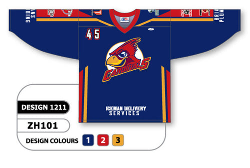 Athletic Knit Custom Sublimated Hockey Jersey Design 1211 (ZH101-1211)